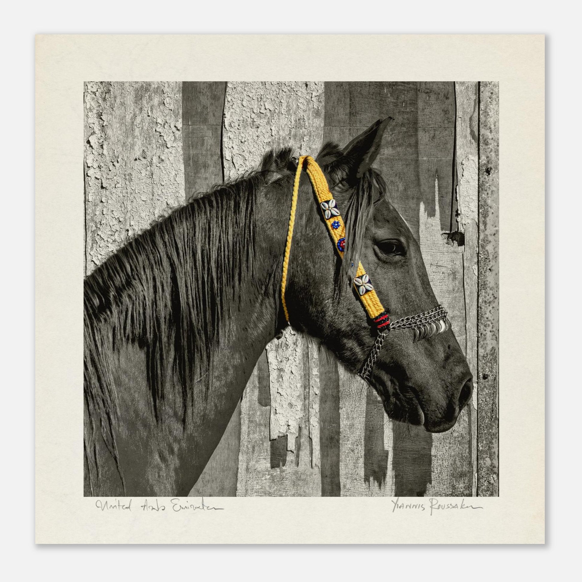 675dd878-9c41-4280-bfa0-acee3a9f25d2