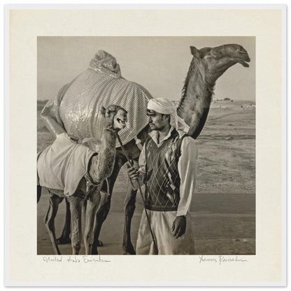 6769cf0e-627a-44c7-8cfc-77085d3395a6