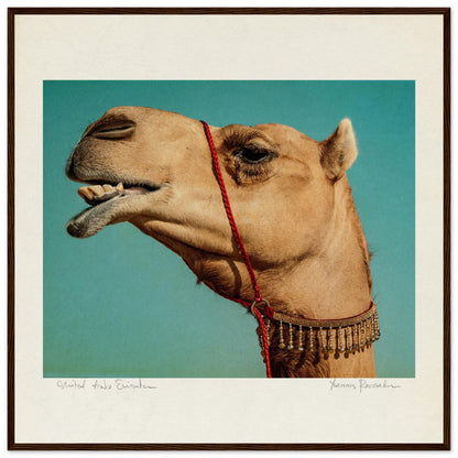 67bb3456-16f5-47c4-9bb1-23ac490e2680