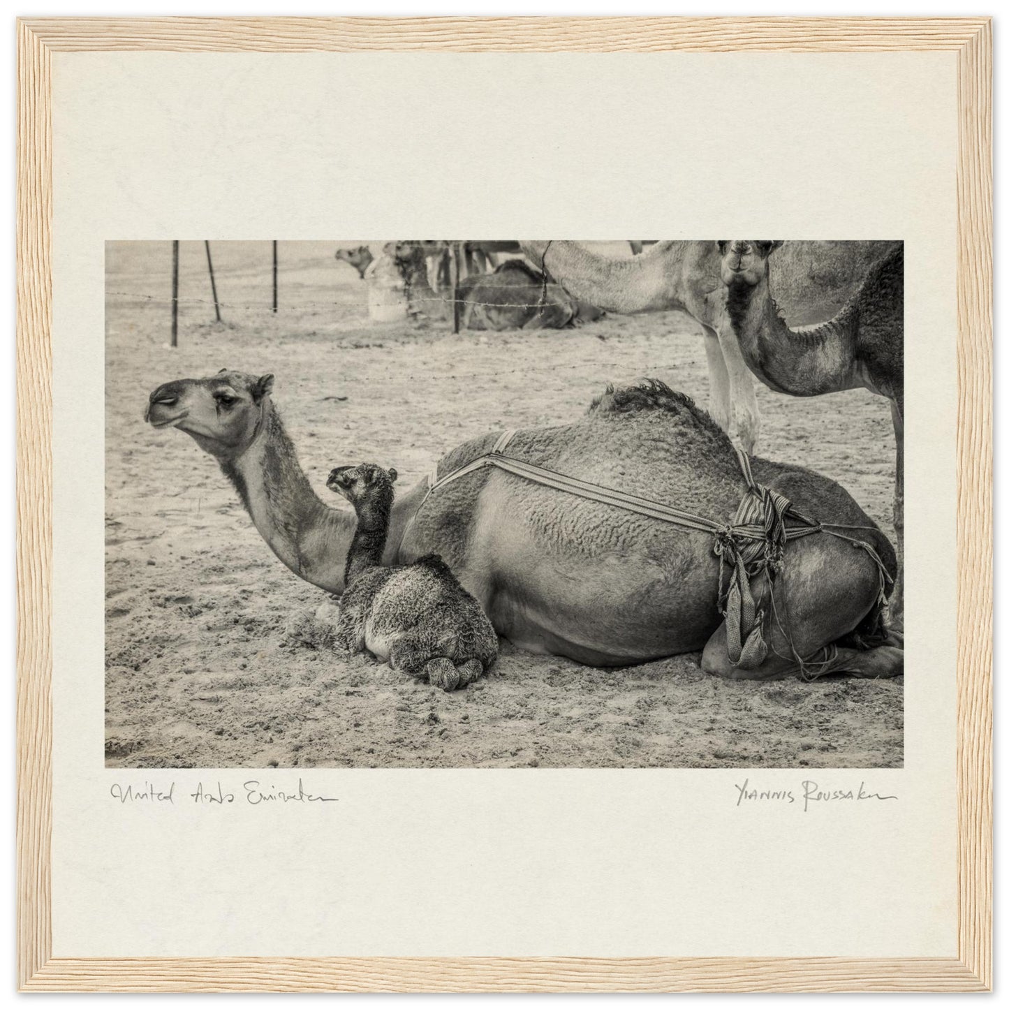 687b7ceb-47e7-4c59-bec9-9ef8f6acd30c