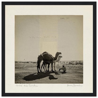 6c74957d-1d65-4a9e-998f-bdba12cff43d