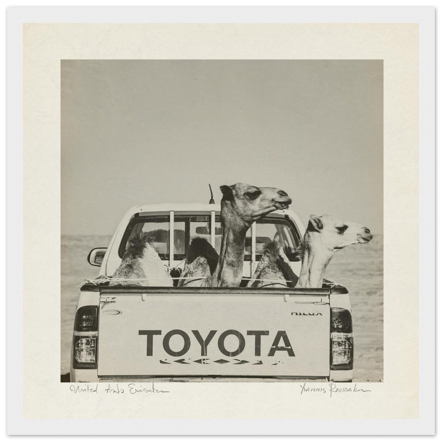 6dab2711-27b0-4ebb-be3f-1dc09ae2cfe5