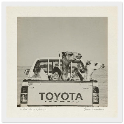 6dab2711-27b0-4ebb-be3f-1dc09ae2cfe5