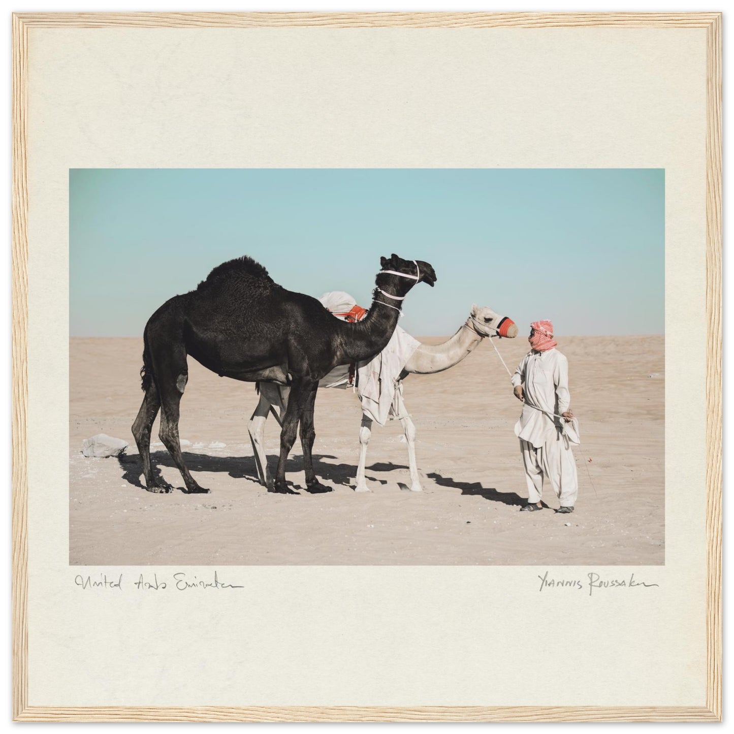 6dc2d208-f312-4705-98ee-de9014fae1c2