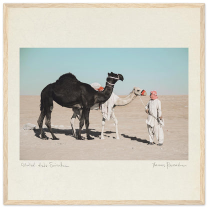 6dc2d208-f312-4705-98ee-de9014fae1c2