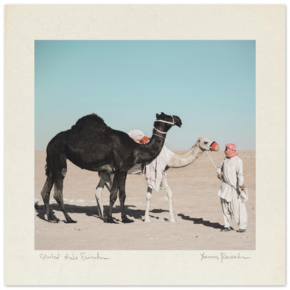 6dc7ddaa-b294-4c27-a062-8aa290e77b75