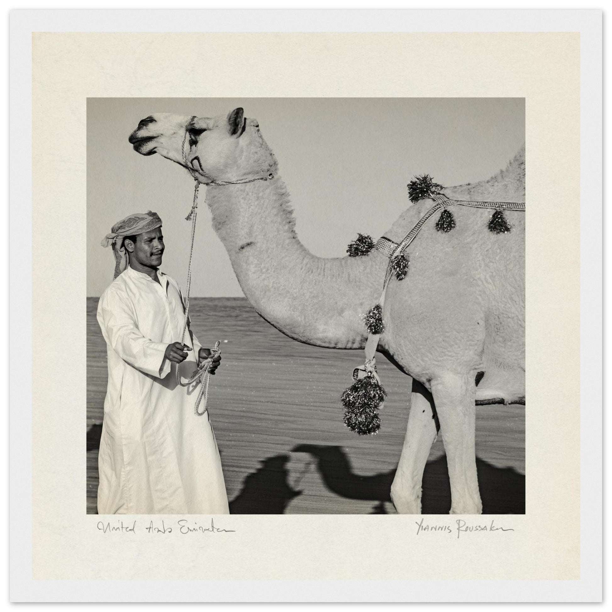 6f23bfd8-22ef-4d47-9014-dc6229103706