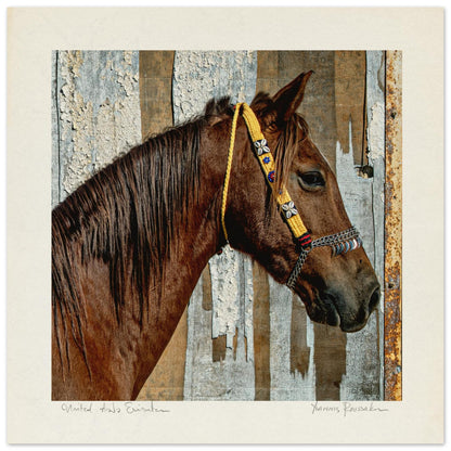 6f5d2a63-e0d7-470b-9b98-105138a4fefc