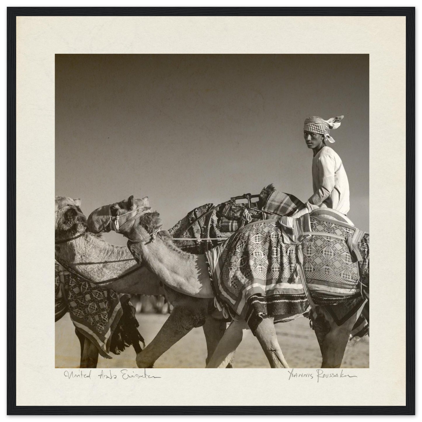 6f9e63d6-cc71-4416-a512-981928b8a752