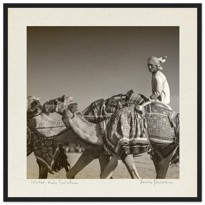 6f9e63d6-cc71-4416-a512-981928b8a752