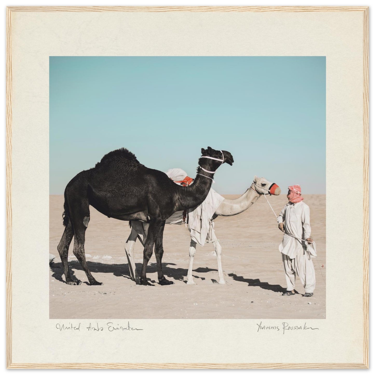 70b886ba-8874-4143-a625-67669fcc0a03