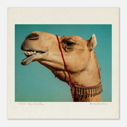 70d9fa2b-8e2f-402d-beed-00f1f7b39017