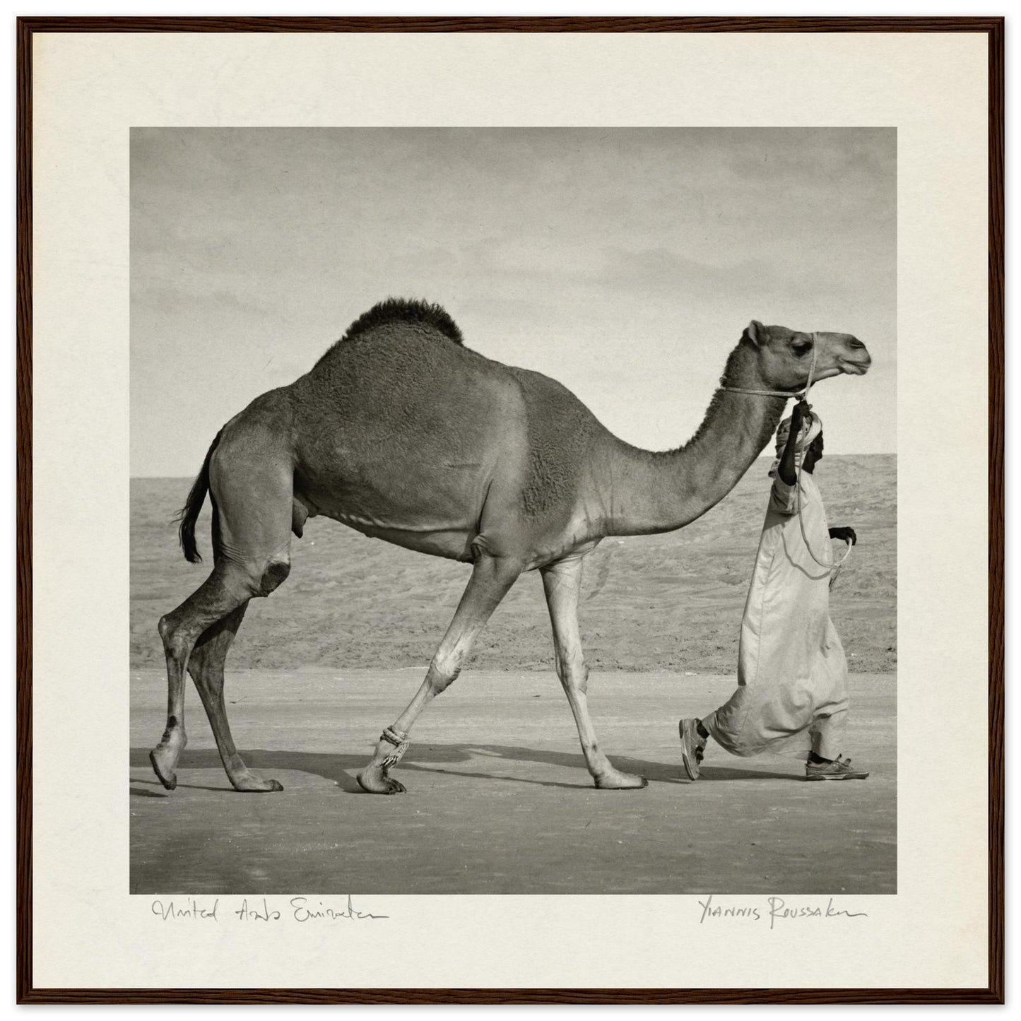 71afe932-88a1-47a3-94a2-969351cb48b2