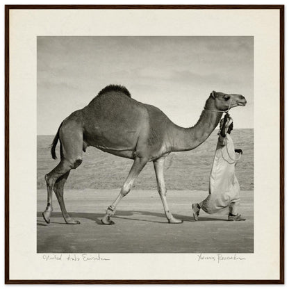 71afe932-88a1-47a3-94a2-969351cb48b2