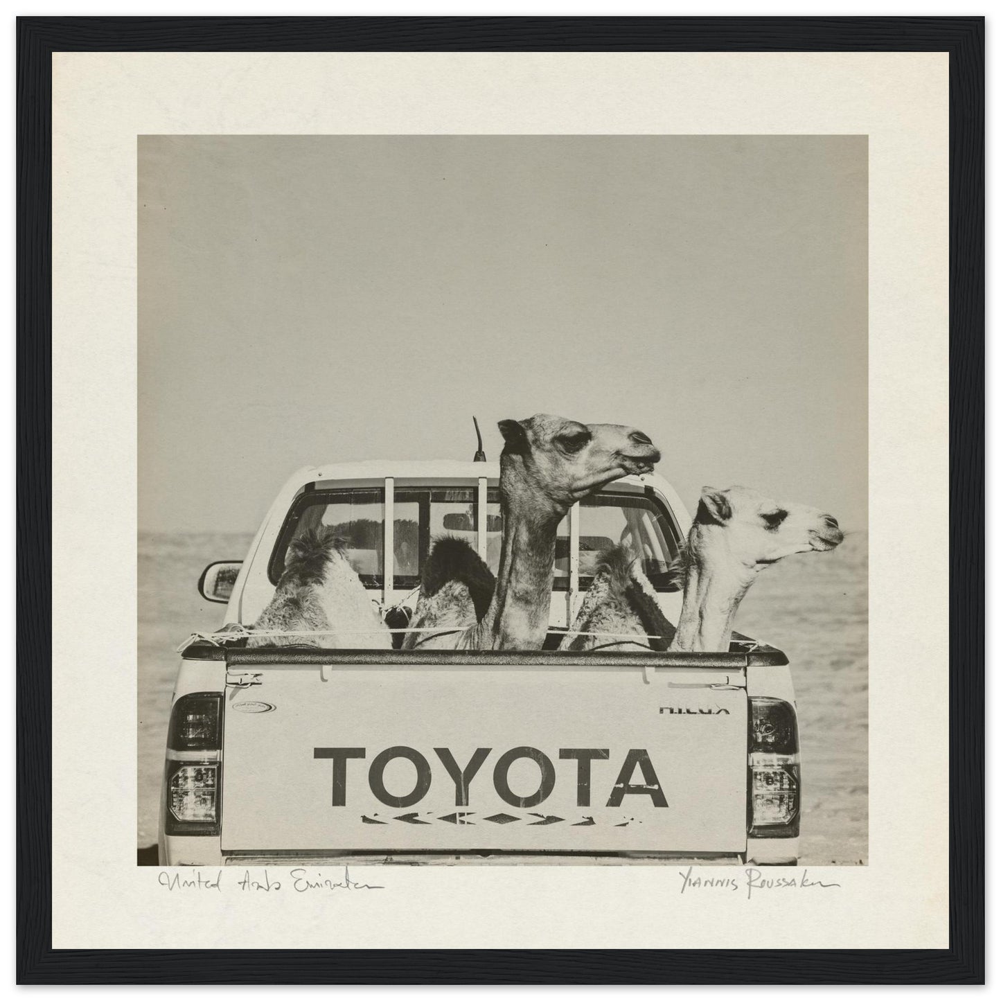 733edc85-4e42-4cf9-82a5-ddfb5a775313