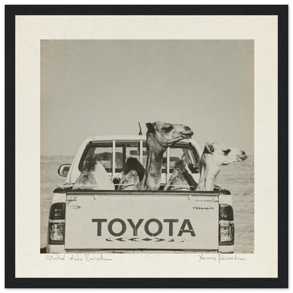 733edc85-4e42-4cf9-82a5-ddfb5a775313