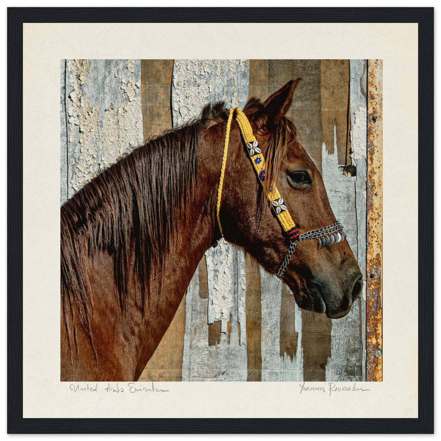 7340ebd4-b0a9-49ae-8f67-ff7d6f61347d