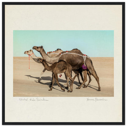 73f6f589-5030-4e50-a55e-62221af6ad5a