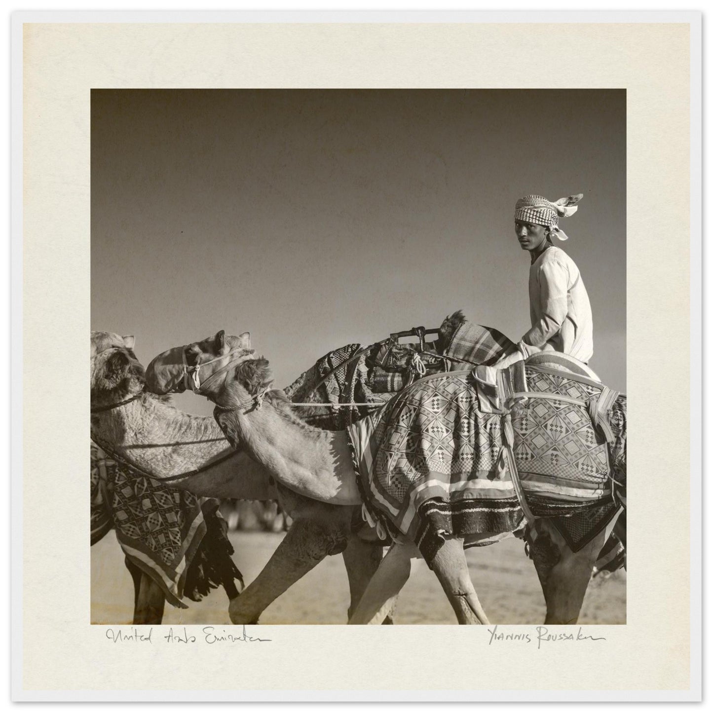 743b4f9e-52ec-4e3c-9b9e-553369a673cd