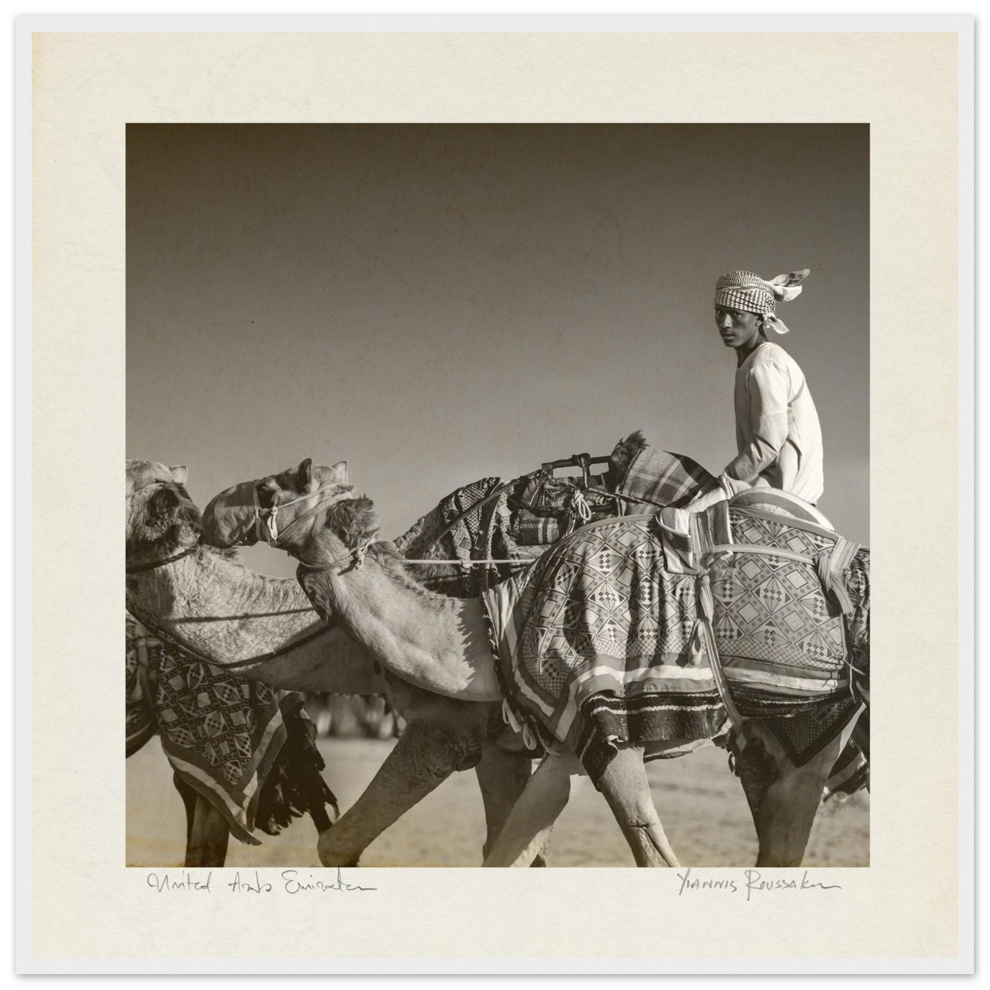 743b4f9e-52ec-4e3c-9b9e-553369a673cd