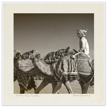 743b4f9e-52ec-4e3c-9b9e-553369a673cd