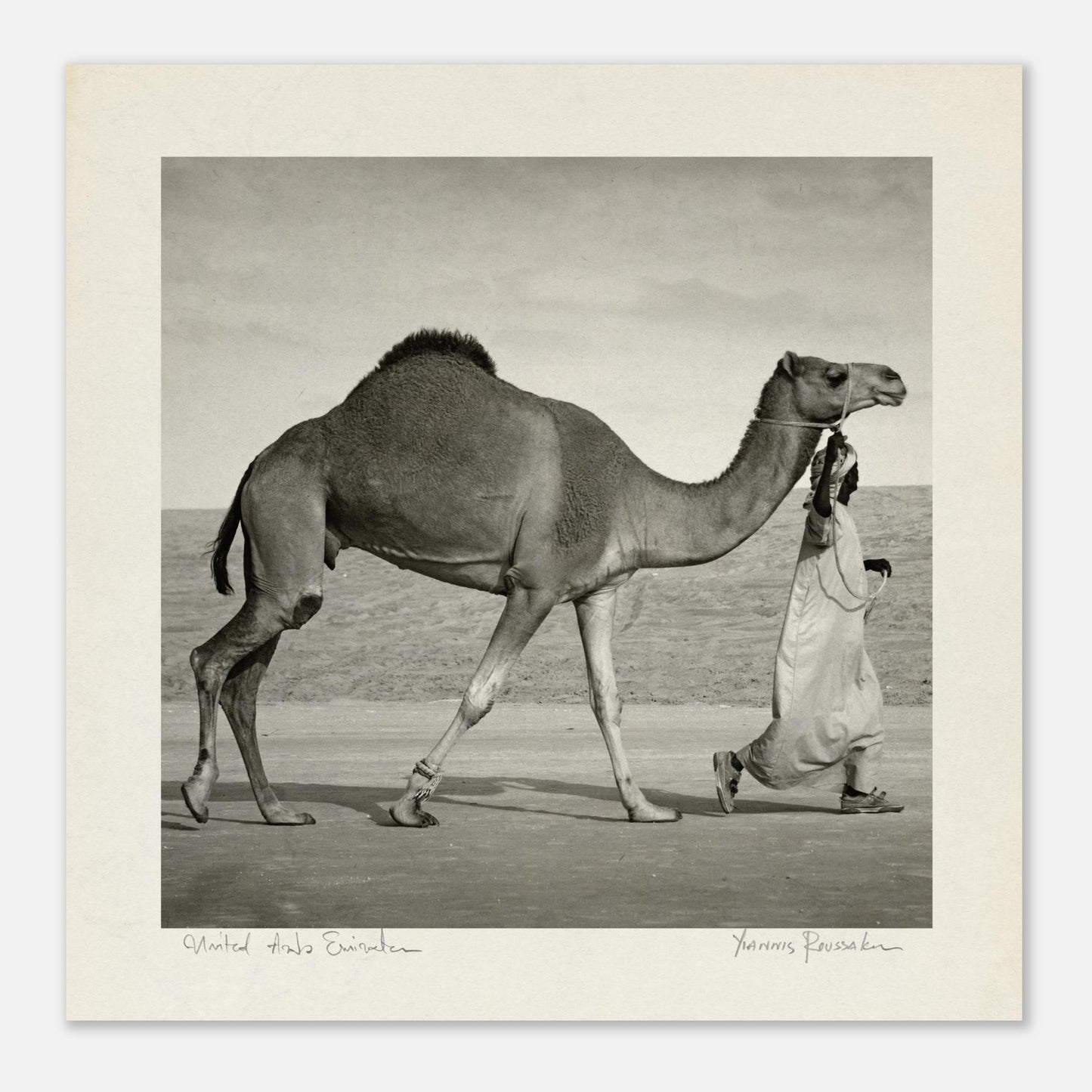 74d22be2-2c74-400f-b470-7dc79392977a