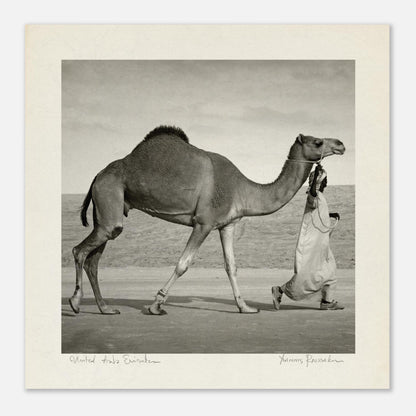 74d22be2-2c74-400f-b470-7dc79392977a