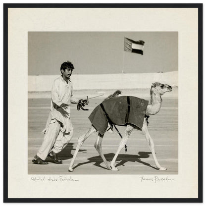 75417f7a-d158-4327-8695-6fd382d17a36