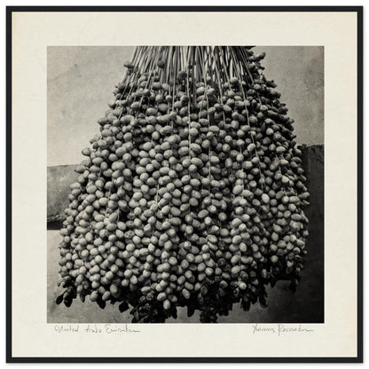 754505ae-f849-491b-8451-8a766f7b4a52