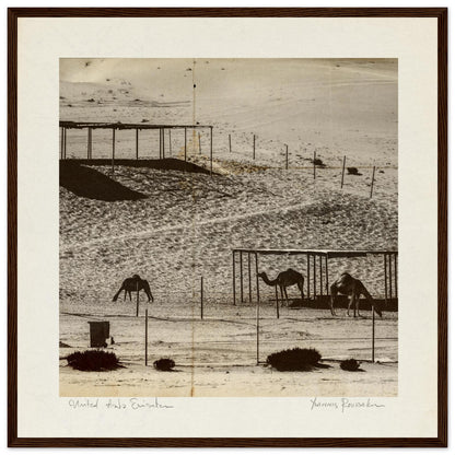 75607463-33c1-4ade-a5cd-531faf54ed3f