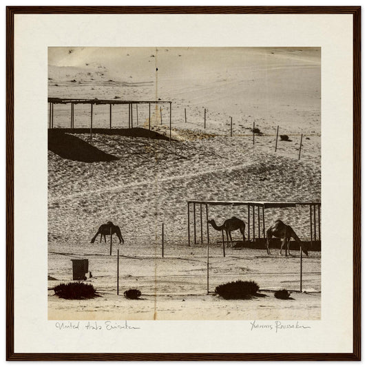 75607463-33c1-4ade-a5cd-531faf54ed3f