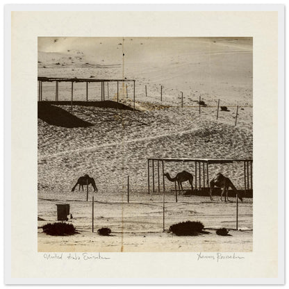 77f6b205-4fd9-4ca5-ae15-37c1f80de6f3