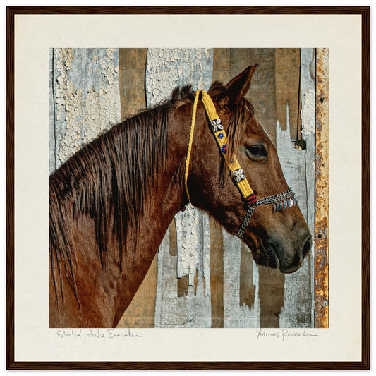 7886926f-2589-4c52-8210-6c323698ca8f