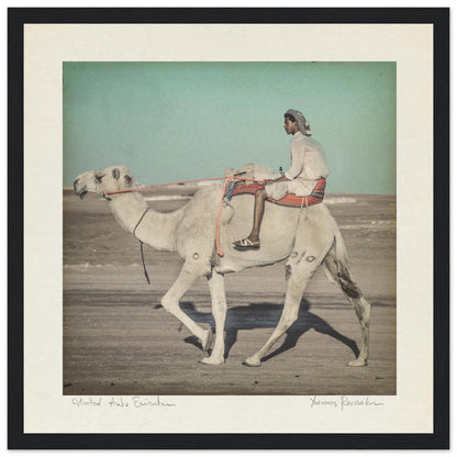 79713d0d-d8c6-40ed-af24-17e952eaef9a