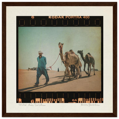 7ace38c3-df7f-4874-9a04-33b4aa205d27