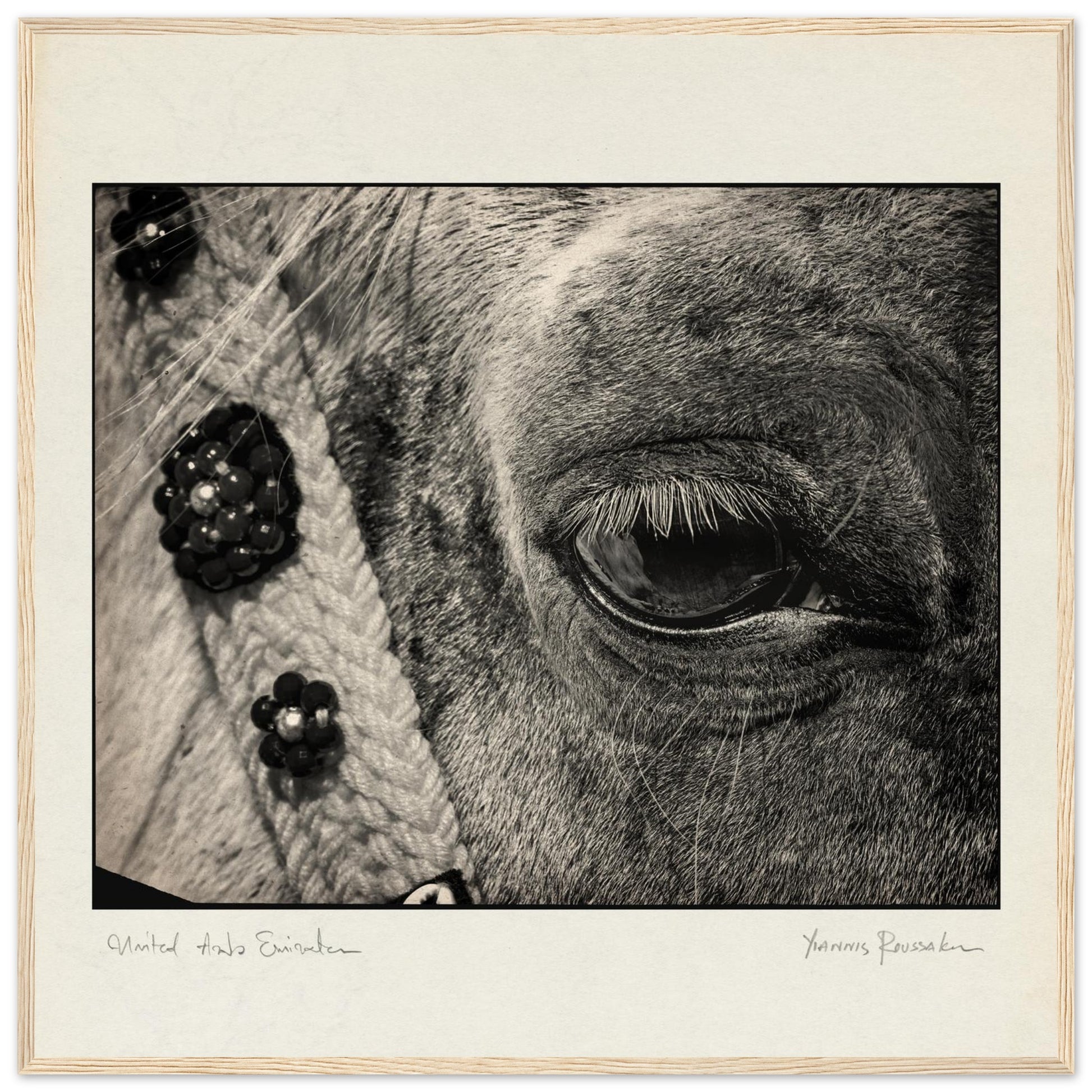 7b847444-c48c-4dc4-b979-b43319844c4d