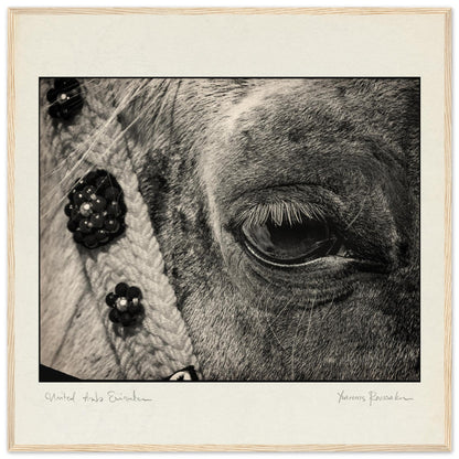 7b847444-c48c-4dc4-b979-b43319844c4d