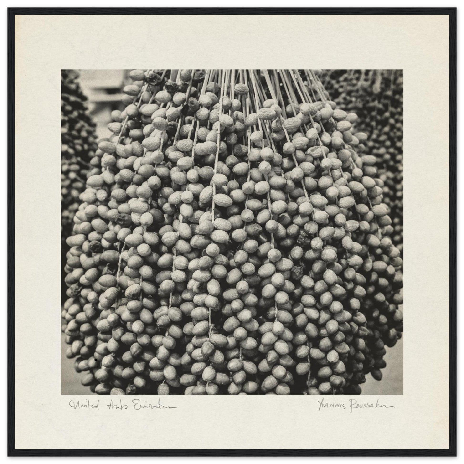 7c941325-a349-46a1-af00-5b72a04f5cbb