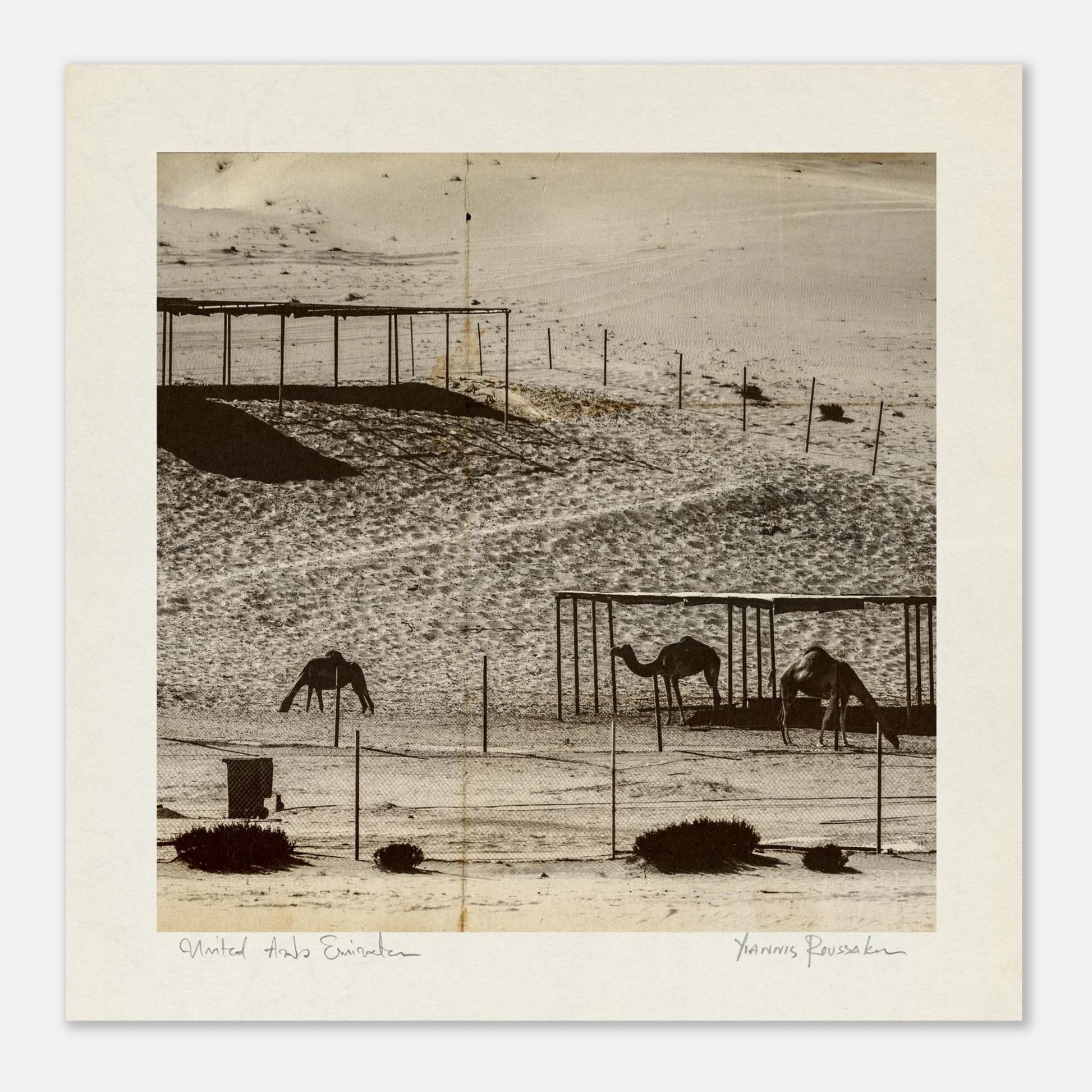 7d14aa96-f1d5-46b0-b3e4-1c896929543b