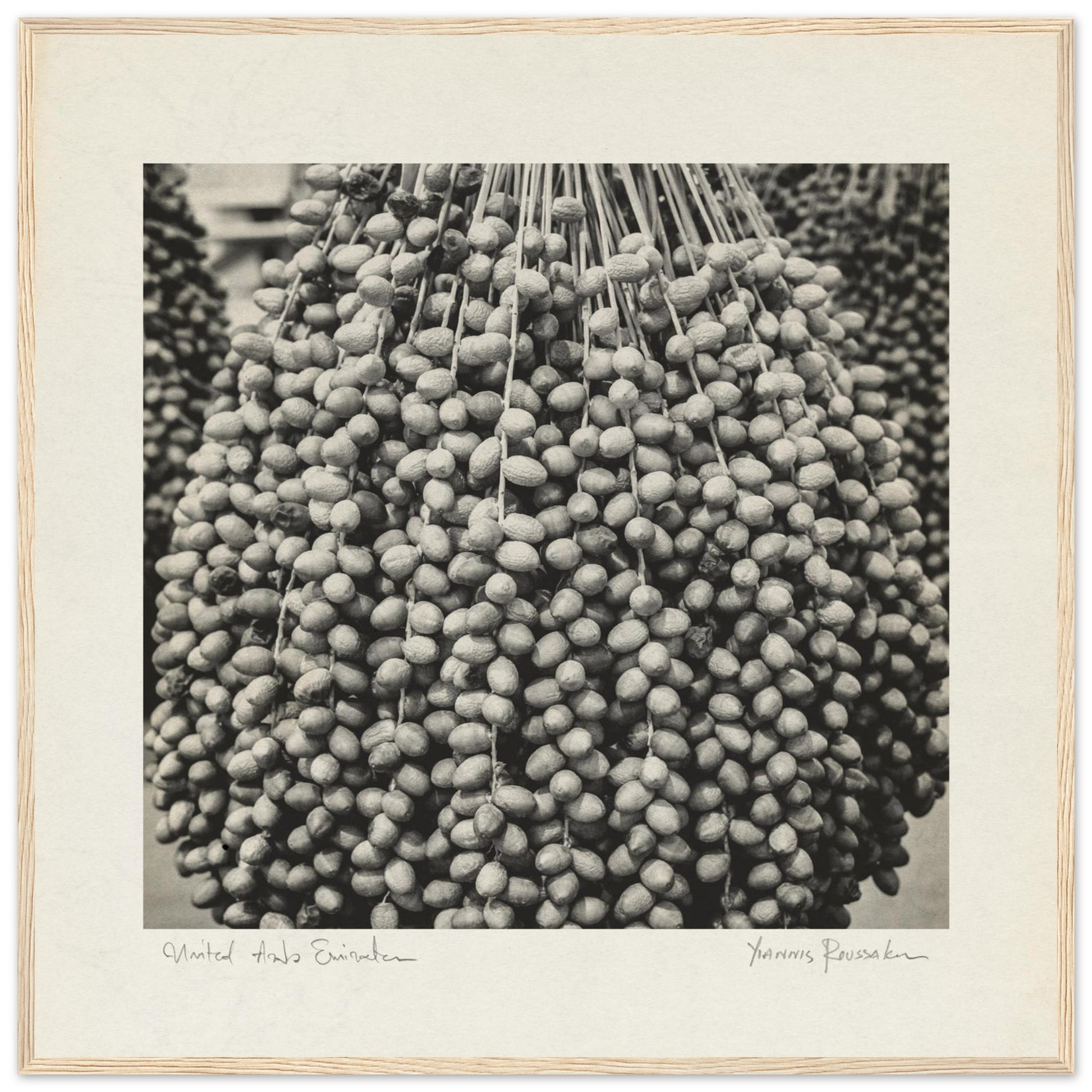 7e74f778-a8c6-41f0-94cc-c332c806103f