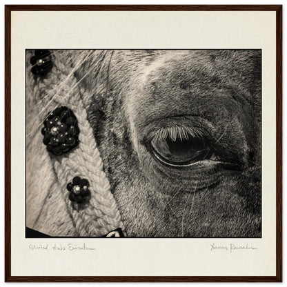 8134bc8c-c4c5-40a4-a564-a80b686531a4