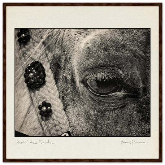 8134bc8c-c4c5-40a4-a564-a80b686531a4