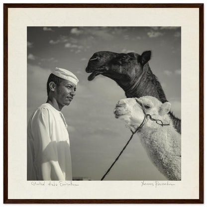 81bfe355-16ff-47d7-85b3-b3581869efc9