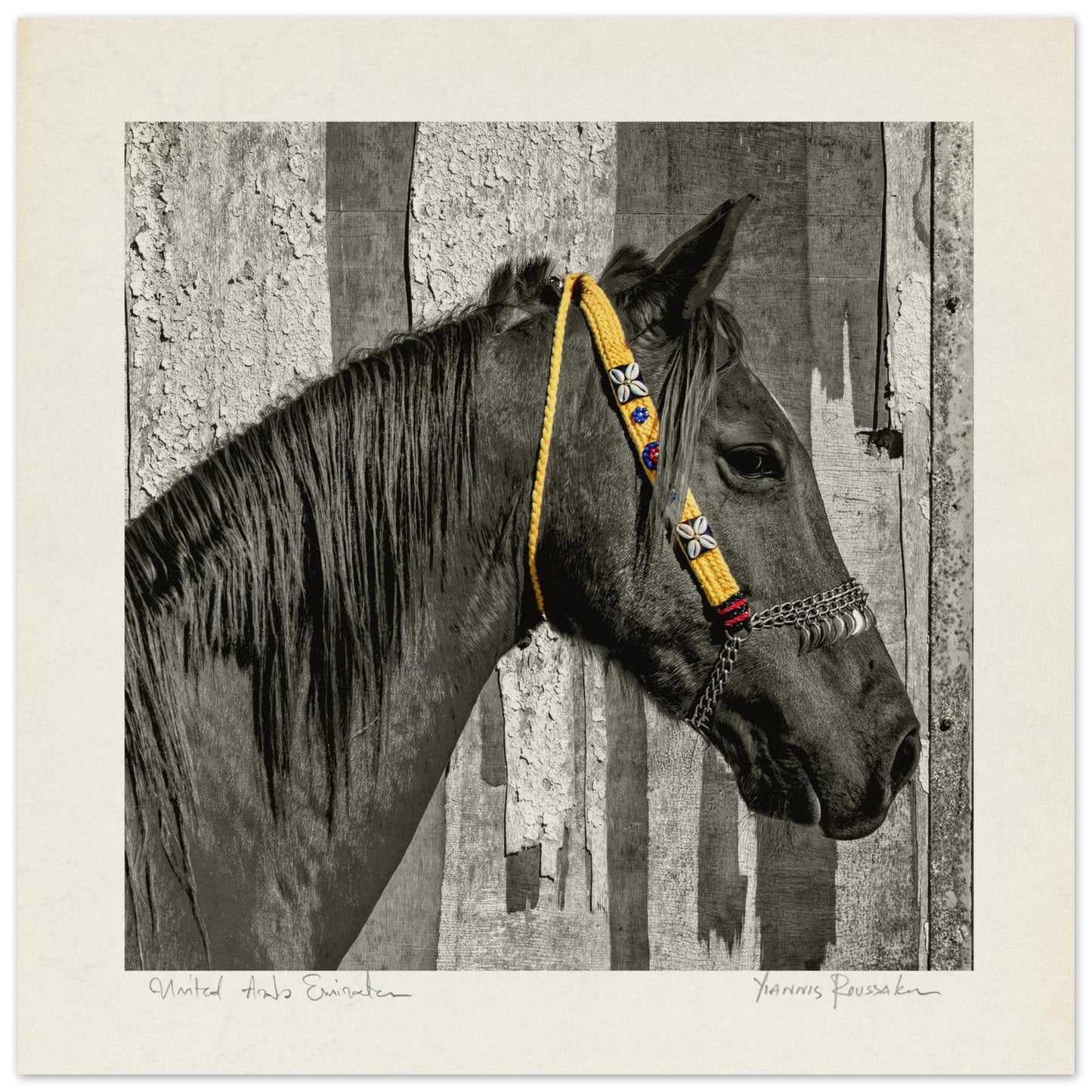 825eeb29-feef-4627-9cc1-9b34a7d94994