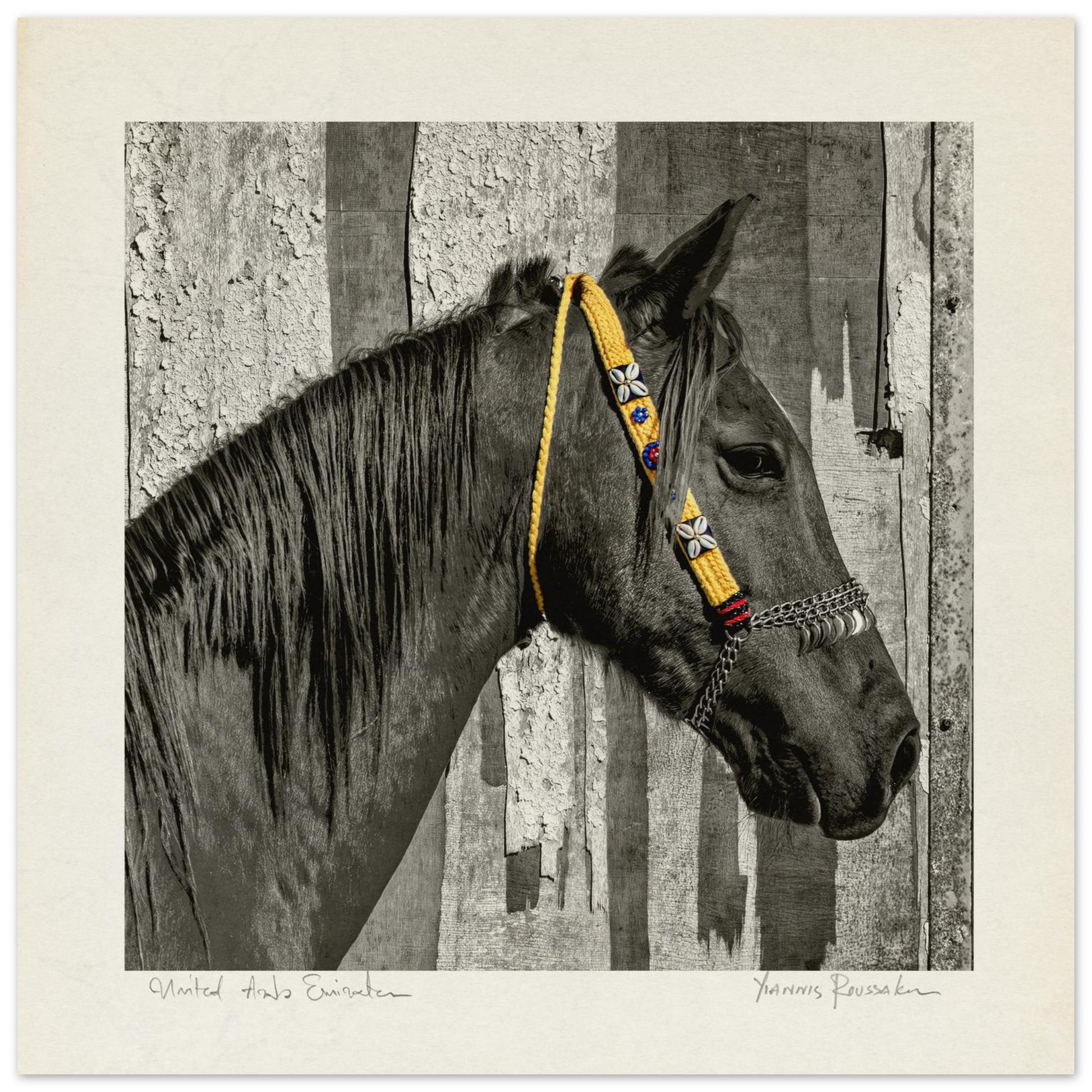 825eeb29-feef-4627-9cc1-9b34a7d94994