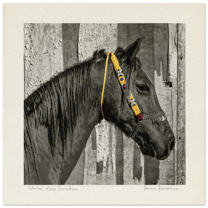 825eeb29-feef-4627-9cc1-9b34a7d94994