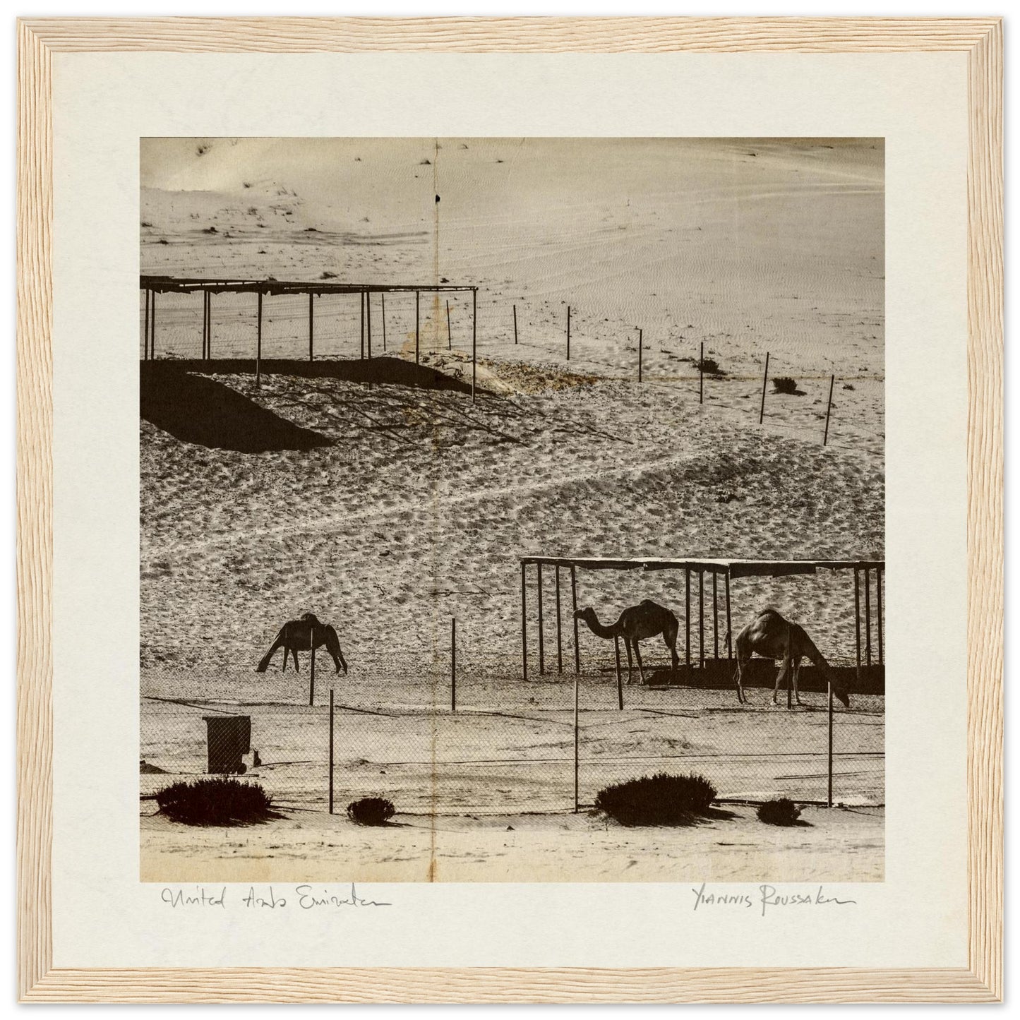 826337fb-7050-44ac-9a82-163dd3da3a34