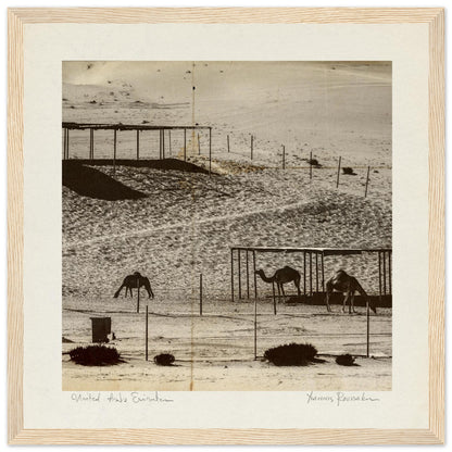 826337fb-7050-44ac-9a82-163dd3da3a34