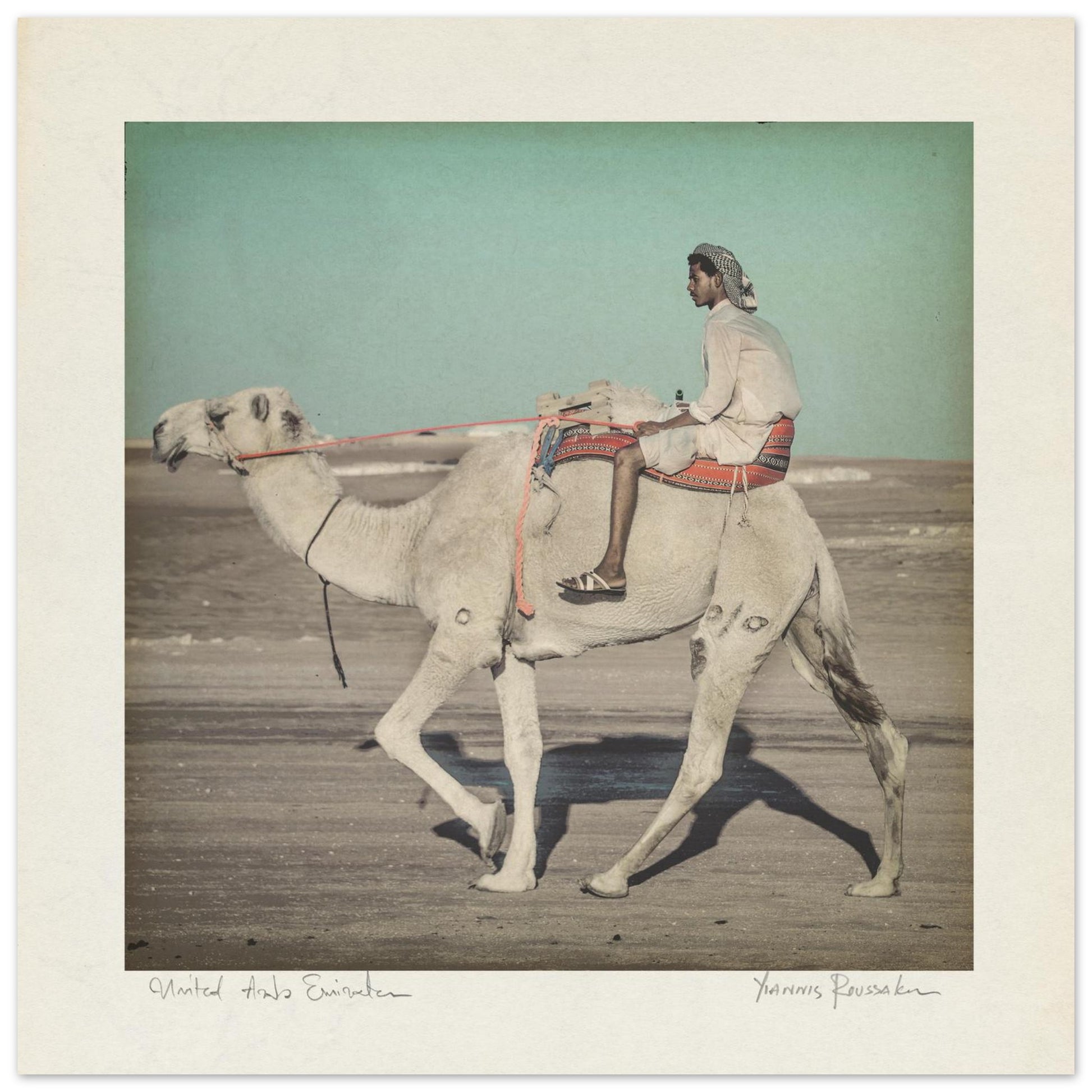 82961ed9-23a4-49e4-a013-7e72771919b8