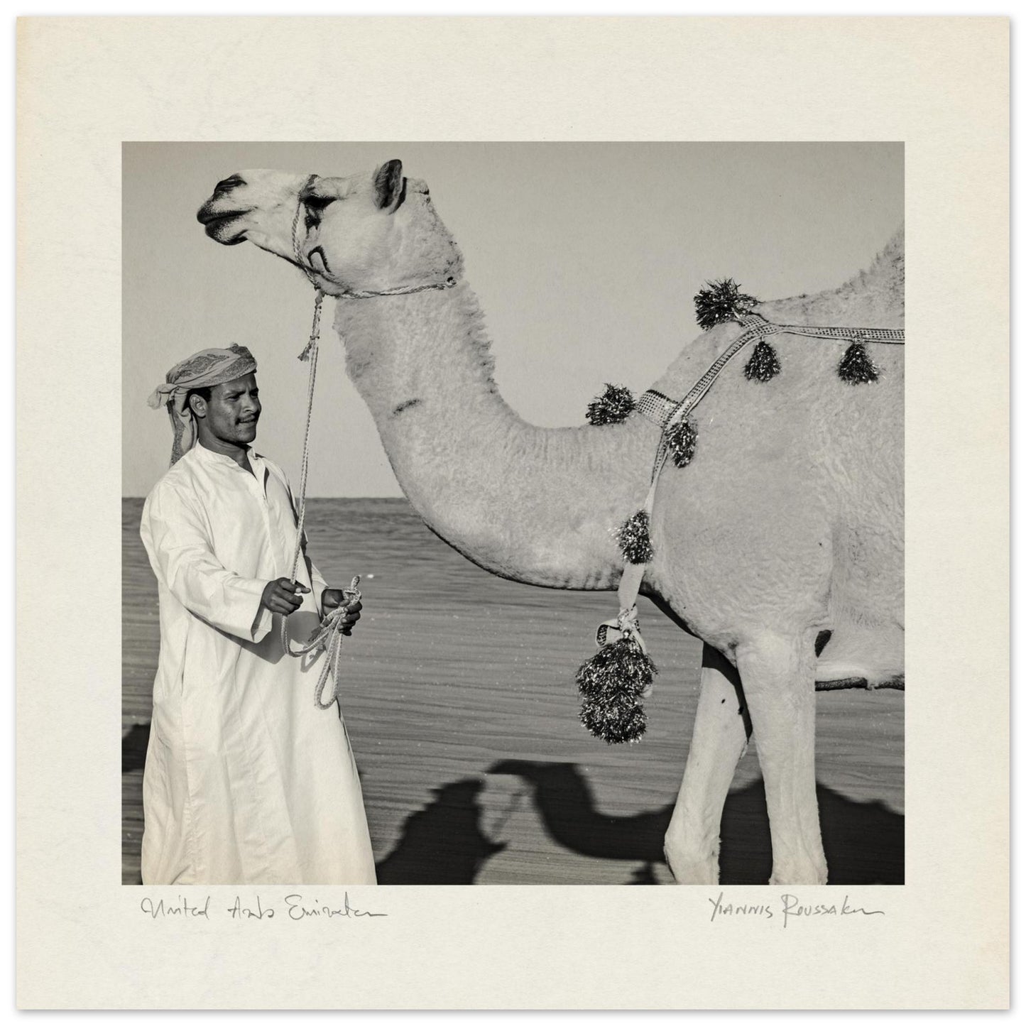 82a7588b-1324-4e4a-9869-4b7ffd235ff8